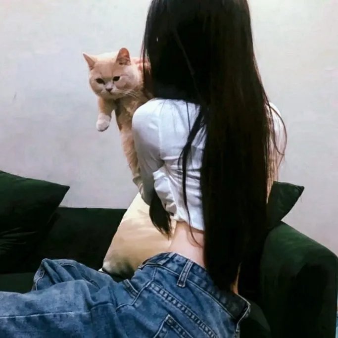 贾希尔